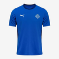 Iceland Home 26/27 Men's Shirt