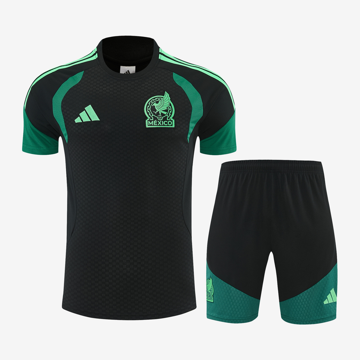 Mexico Training Set 26/27