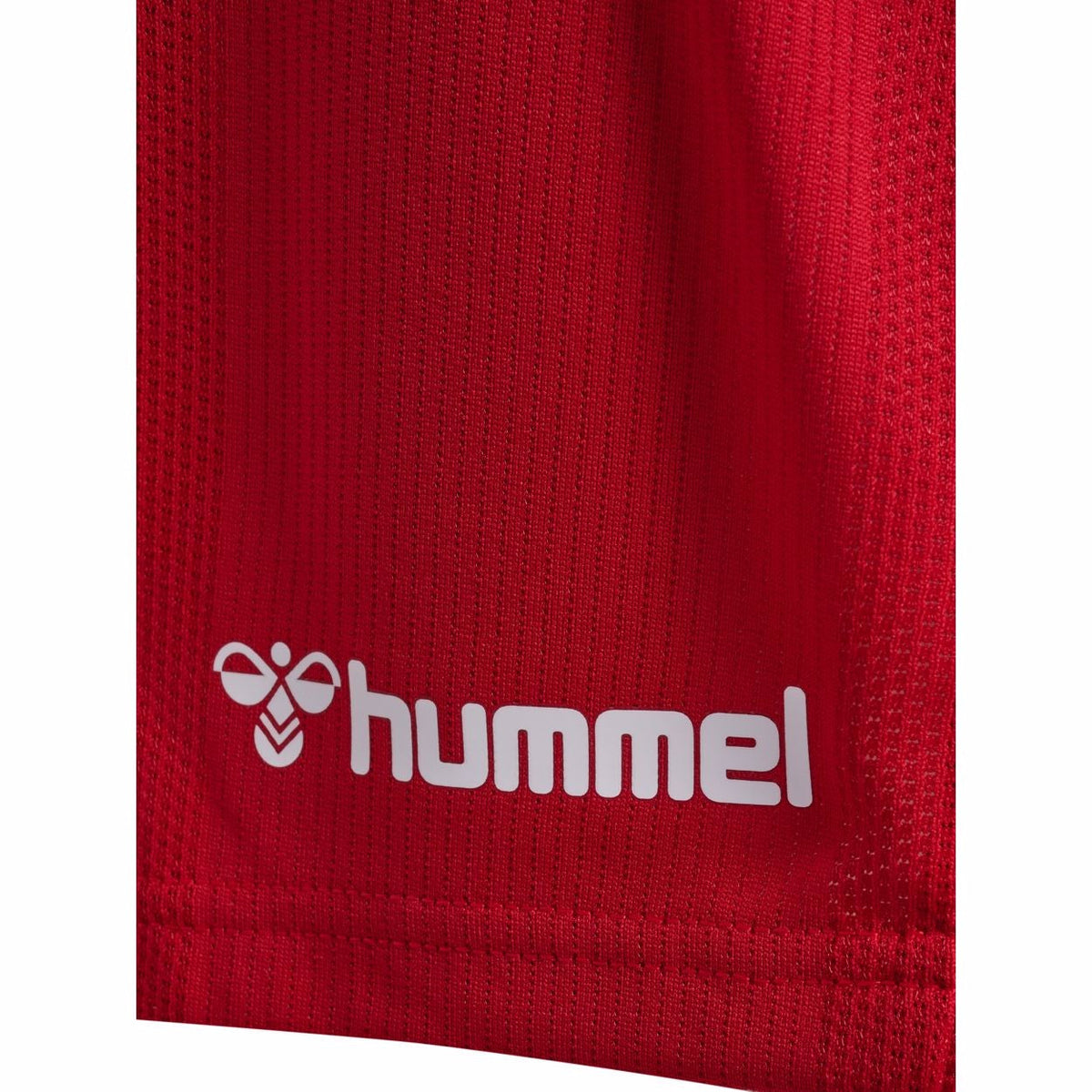 Denmark Home 26/27 Player Edition Shirt