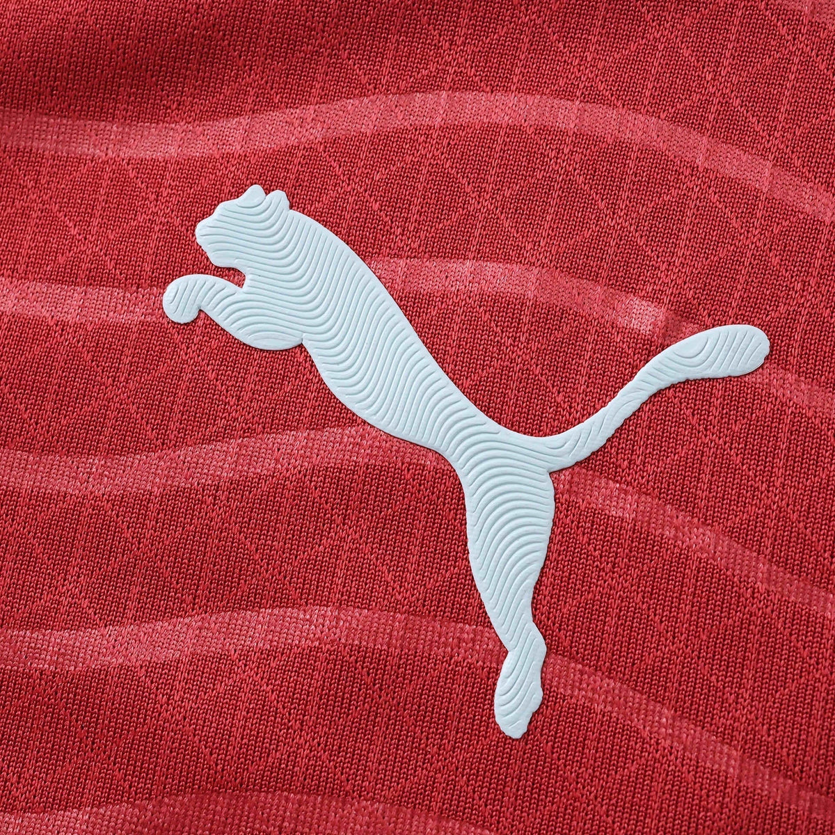 Portugal Home 26/27 Player Edition Long Sleeve Shirt