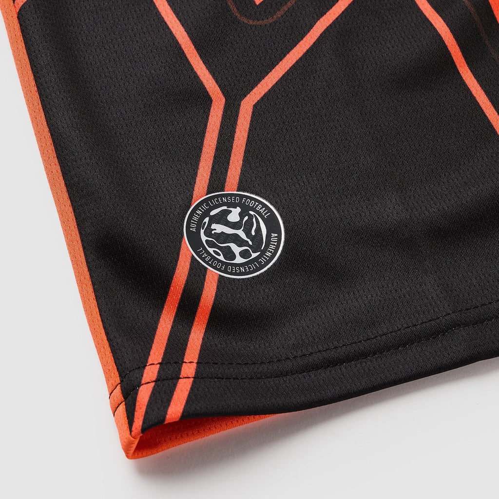 Manchester City Goalkeeper 26/27 Shirt - Red