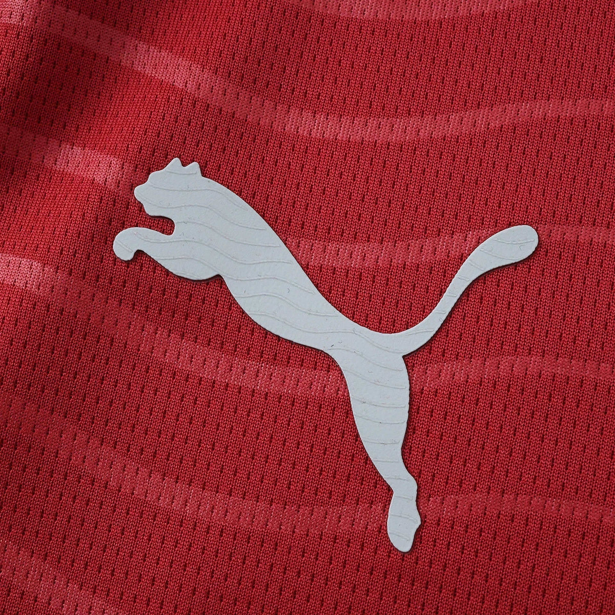 Portugal Home 26/27 Men's Long Sleeve Shirt