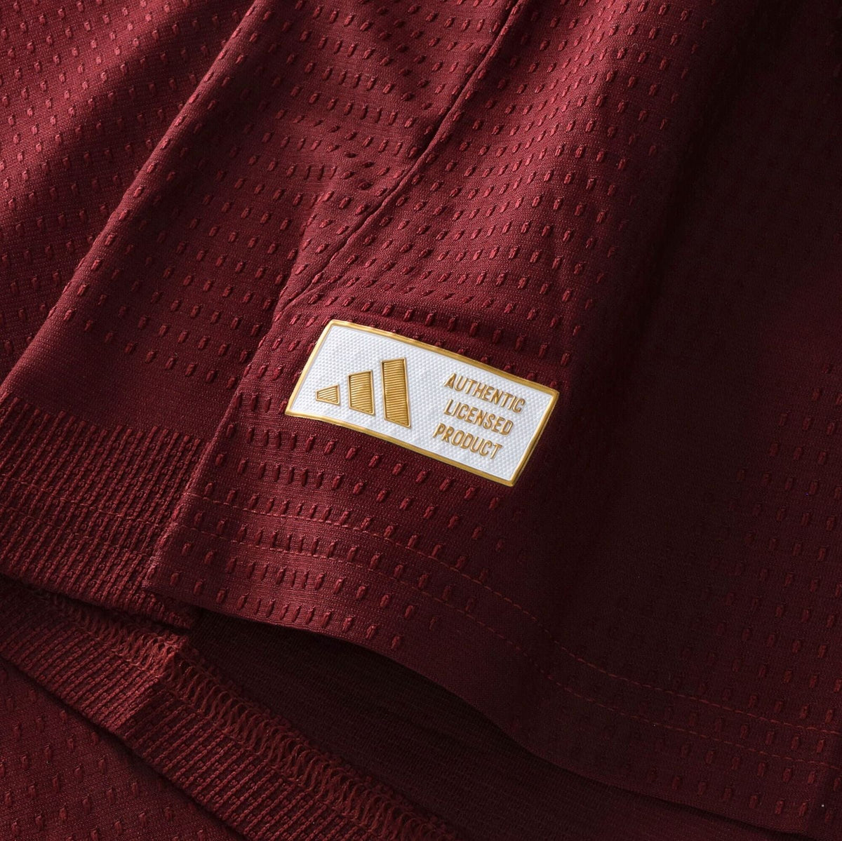 Aston Villa Home 26/27 Player Edition Long Sleeve Shirt